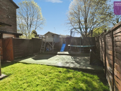 Picture 14